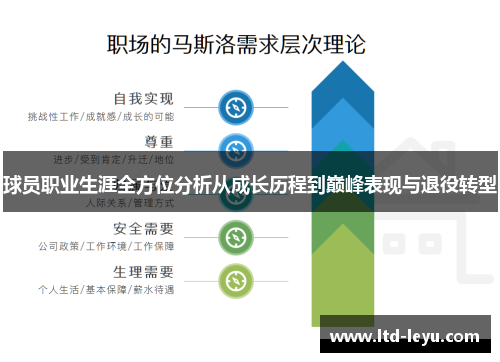 球员职业生涯全方位分析从成长历程到巅峰表现与退役转型