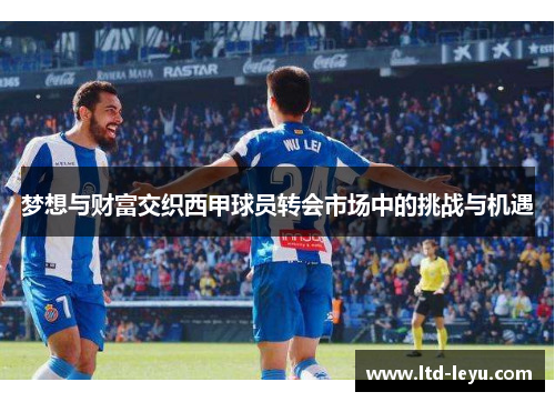梦想与财富交织西甲球员转会市场中的挑战与机遇
