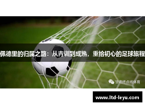 佩德里的归属之路：从青训到成熟，重拾初心的足球旅程