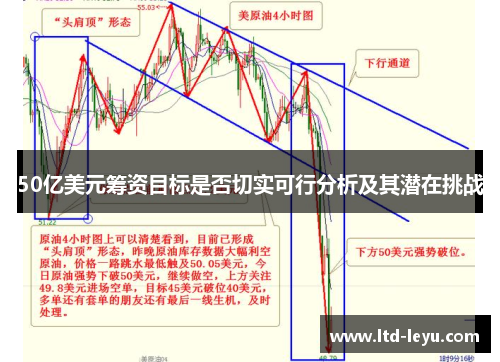 50亿美元筹资目标是否切实可行分析及其潜在挑战