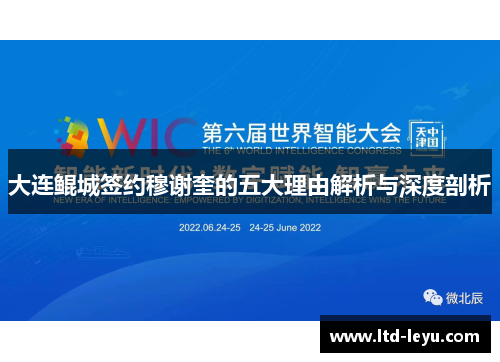大连鲲城签约穆谢奎的五大理由解析与深度剖析