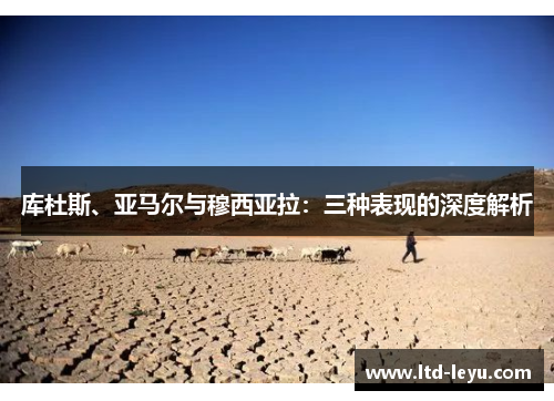 库杜斯、亚马尔与穆西亚拉：三种表现的深度解析