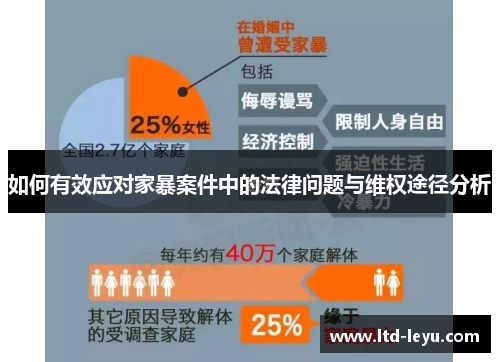 如何有效应对家暴案件中的法律问题与维权途径分析
