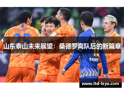 山东泰山未来展望：桑德罗离队后的新篇章