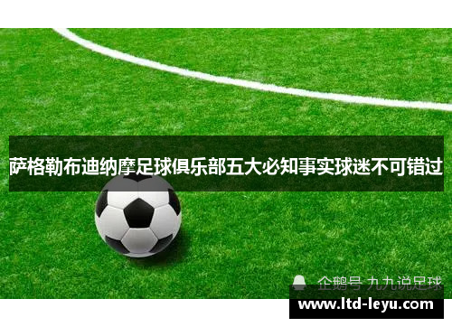 萨格勒布迪纳摩足球俱乐部五大必知事实球迷不可错过