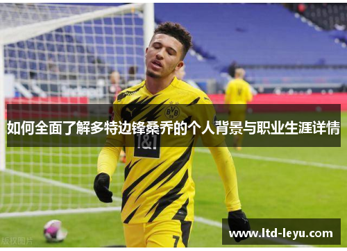 如何全面了解多特边锋桑乔的个人背景与职业生涯详情